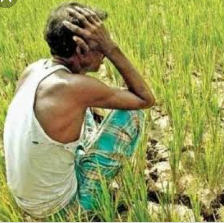 झुमरी का विवाह