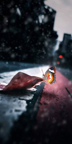 सब लेखक है.....................