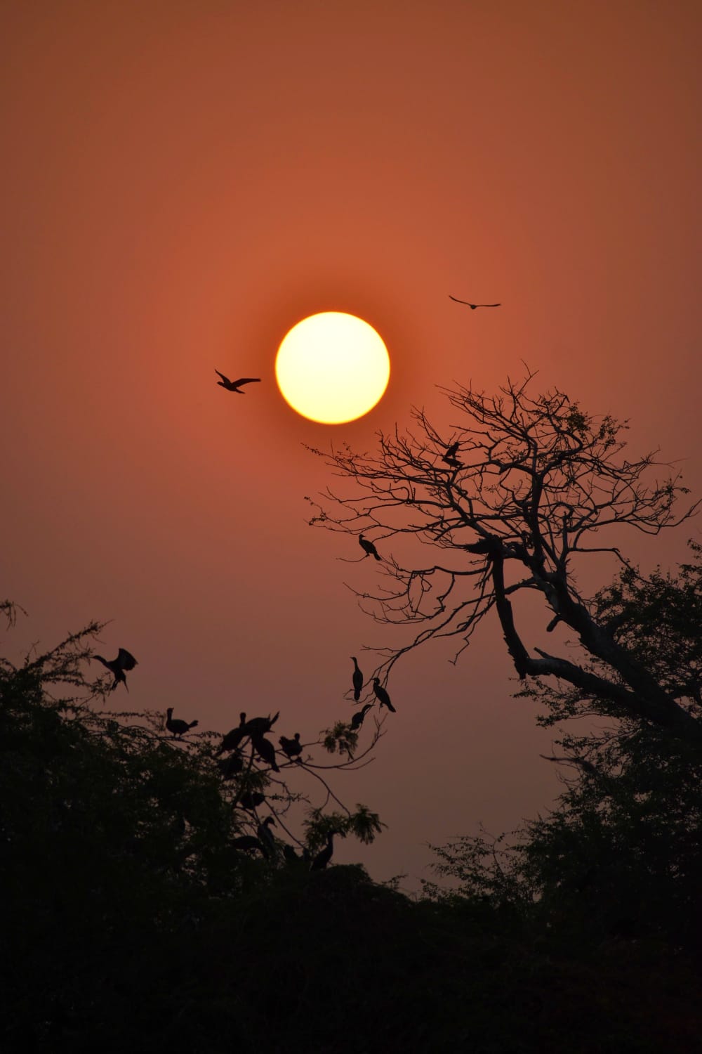 सवाल